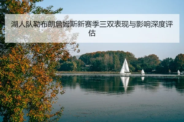 hu-ren-dui-lei-bu-lang-zhan-mu-si-xin-sai-ji-san-shuang-biao-xian-yu-ying-xiang-shen-du-ping-gu-2-437.jpg